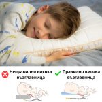 MINIDREAM